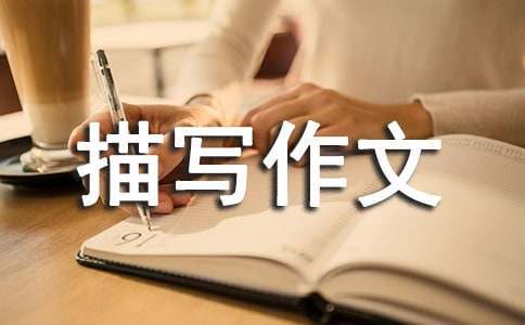如何根据篮球比赛的不同阶段调整力量训练强度？_0
