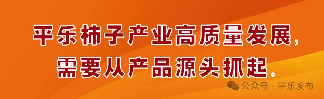 业余爱好者如何系统地学习篮球技能_0